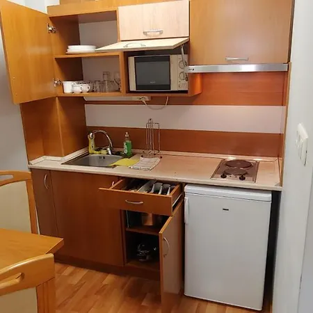 Panorama Lux Wellness Apartment